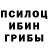 Псилоцибиновые грибы Psilocybe Zhiger Erlan