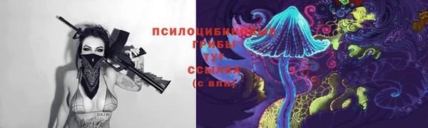 герыч Абаза