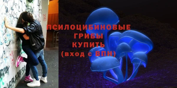 сатива Абдулино